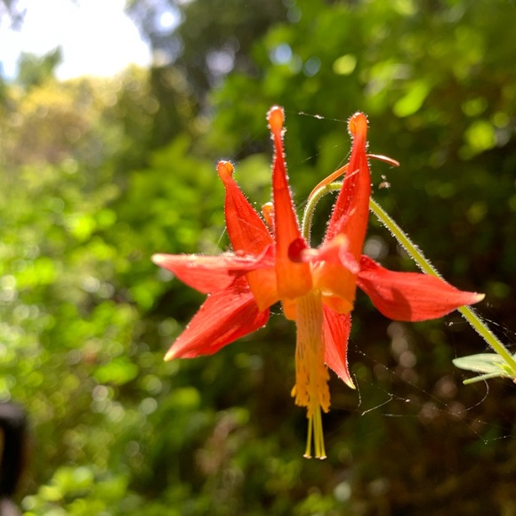 Meet your Posher M. - Picture 2 of 3